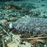 Schutz der Meere - Kampf dem Plastik
