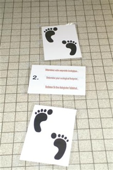 Footprint4
