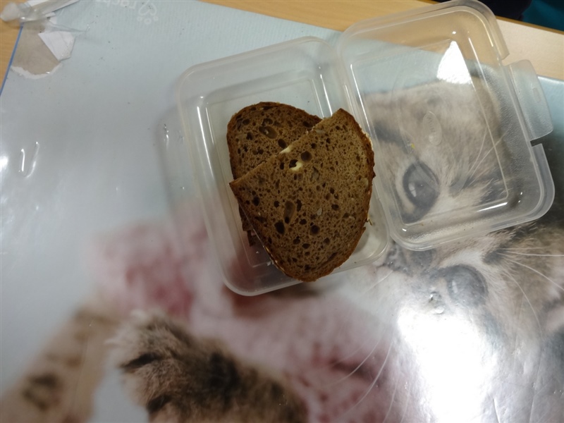 GesundeErnährungPausenbrot5