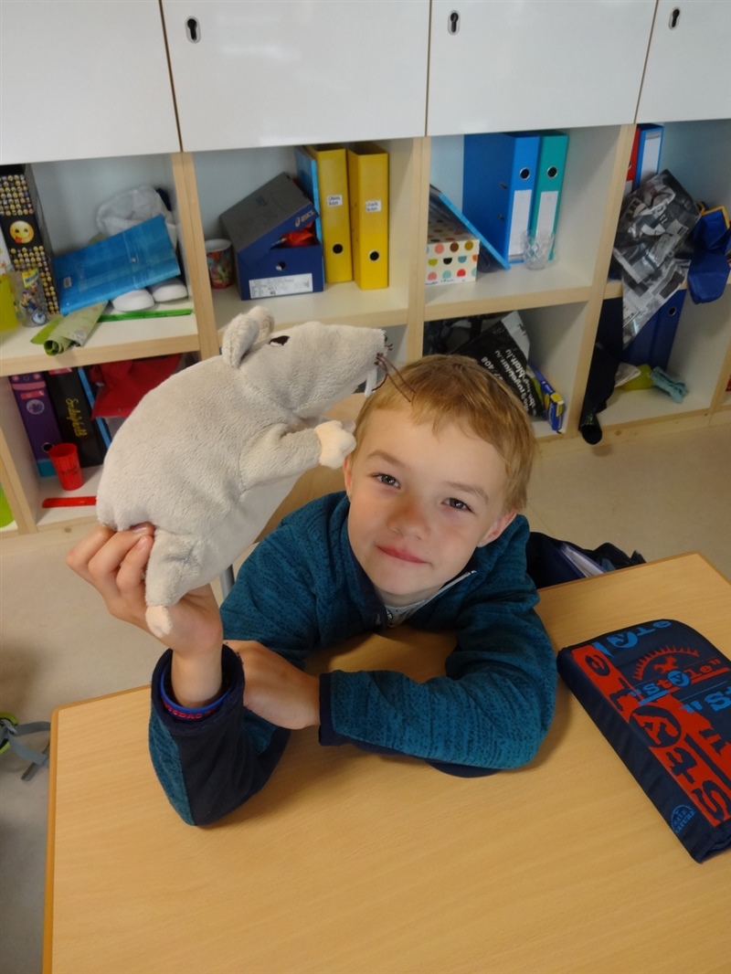 Kuscheltiere4
