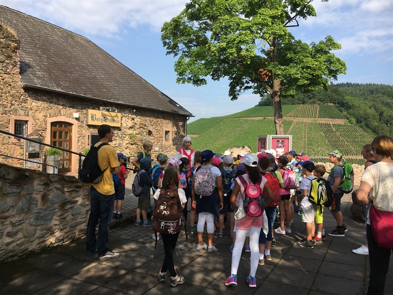 Saarburg1