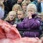 Dänischer Zoo zerlegt Löwen vor den Augen von Kindern