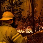 Buschbrände - Feuer in Australien wüten weiter