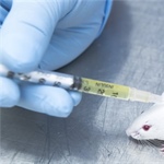 mRNA-Impfstoff gegen Multiple Sklerose erfolgreich an Mäusen getestet