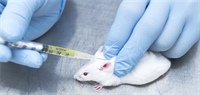 mRNA-Impfstoff gegen Multiple Sklerose erfolgreich an Mäusen getestet