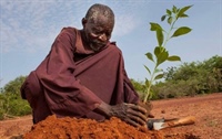 Burkina Faso : l’homme qui a arrêté le désert s’est éteint