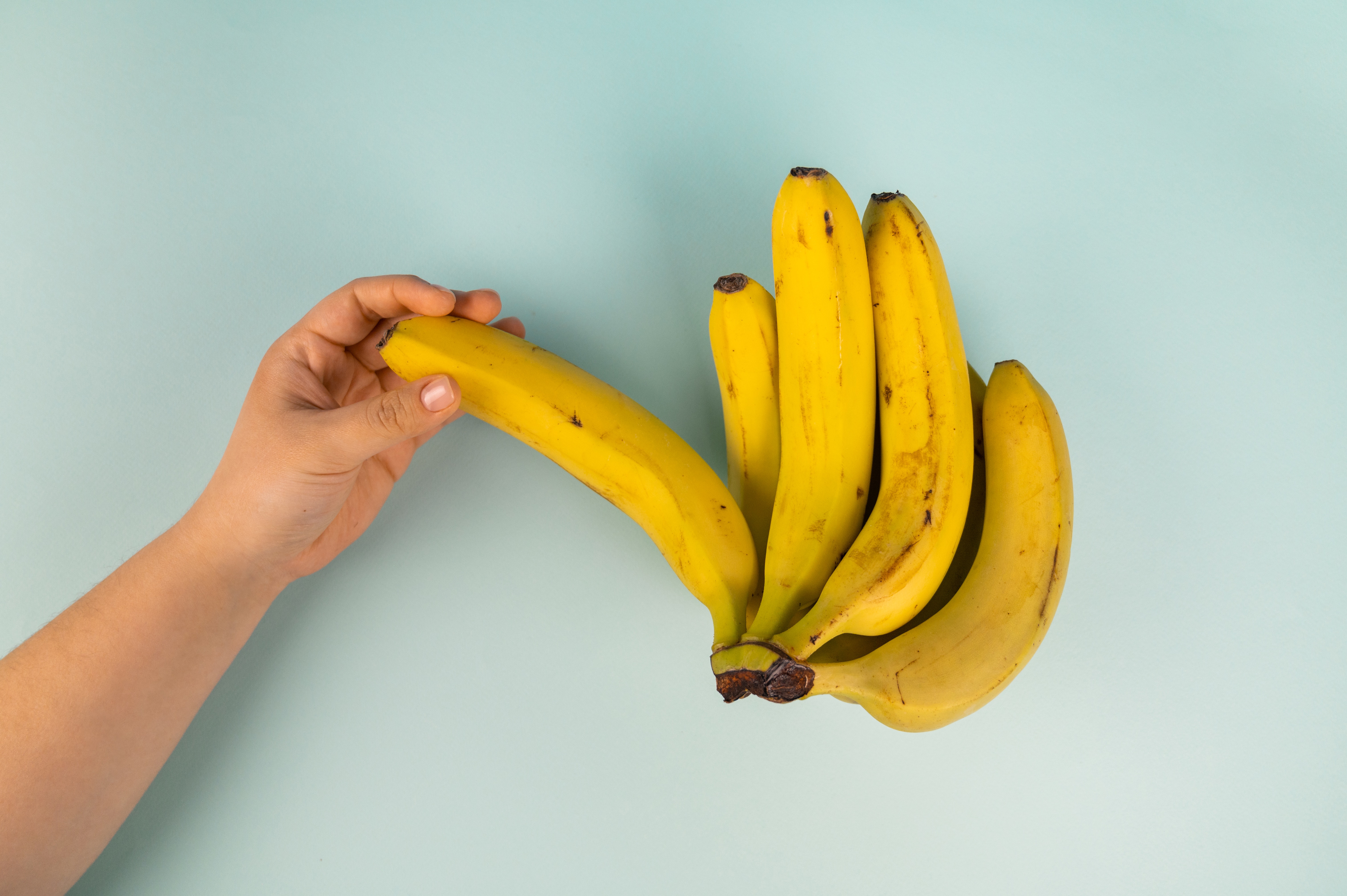 bananas-on-blue-bg
